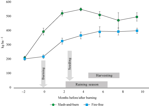 Development of soil-reserves of K during a milpa cycle, comparing
slash-and-burn farming and a fire-free management, in kg ha-1