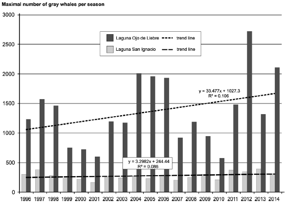 Number of grey whales in the EVBR lagoons, 1996-2014
