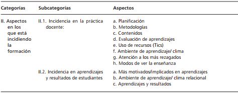Categor&iacute;as tem&aacute;ticas del an&aacute;lisis cualitativo
