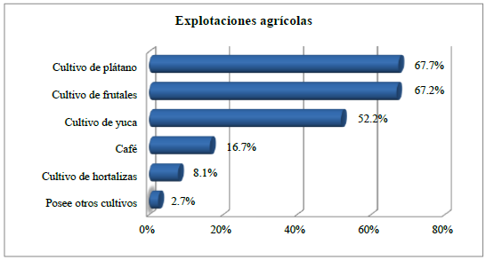  Alternancia del cultivo del cacao con explotaciones agr&iacute;colas