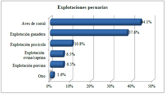 Alternancia del cultivo del cacao con explotaciones
pecuarias.
