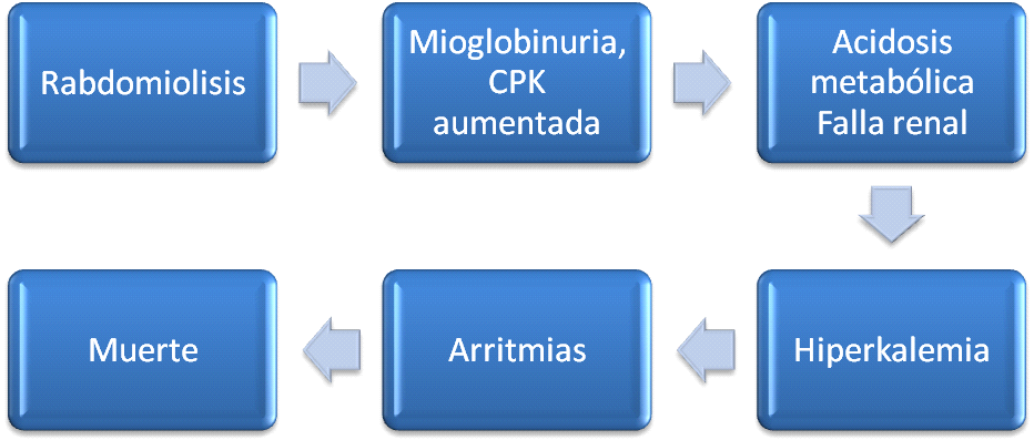 Algoritmo para trauma cerrado de extremidad, adaptado del protocolo de
trauma cerrado en extremidad realizado en el Hospital San Vicente Fundación.