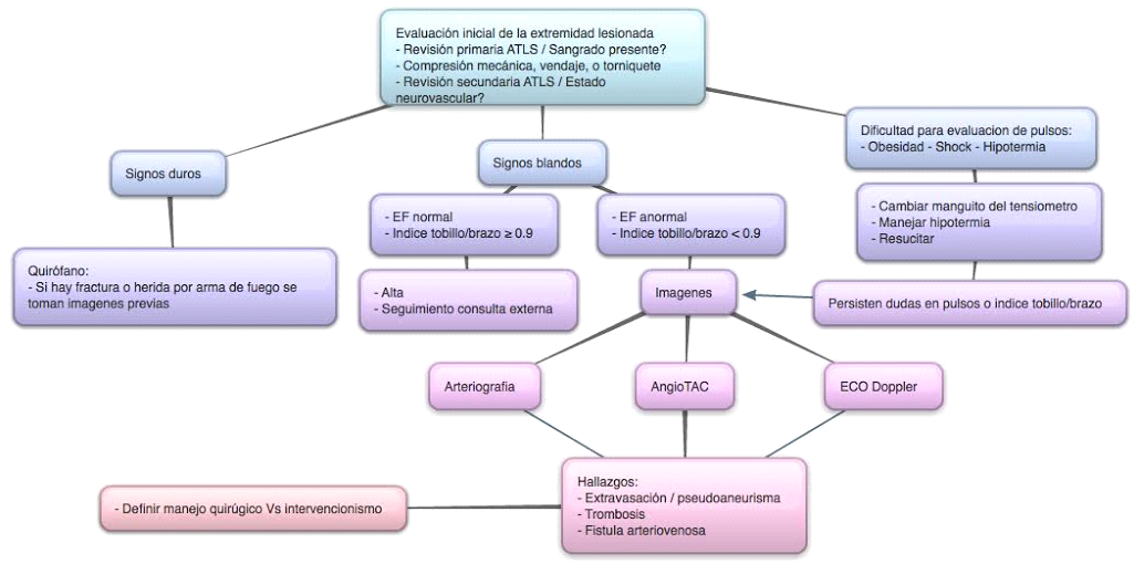 Fases del tratamiento del paciente con trauma vascular de extremidades.