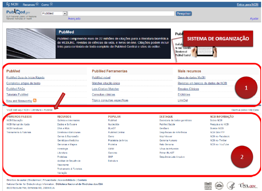 Sistema de organiza&ccedil;&atilde;o
