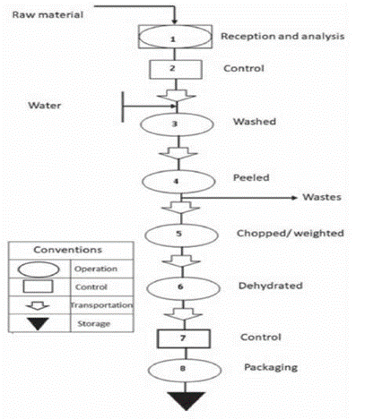 Flow diagram of the processing for dehydrated fruits