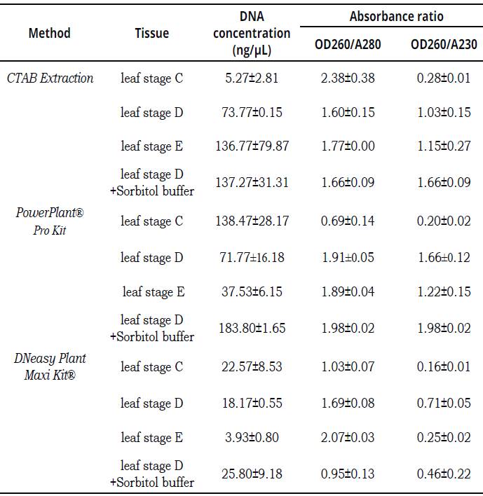 The amount and quality (OD260/A280-OD260/A230) of DNA isolated by different methods from different leaf stage of field plants (FPL) of TSH565 genotype.