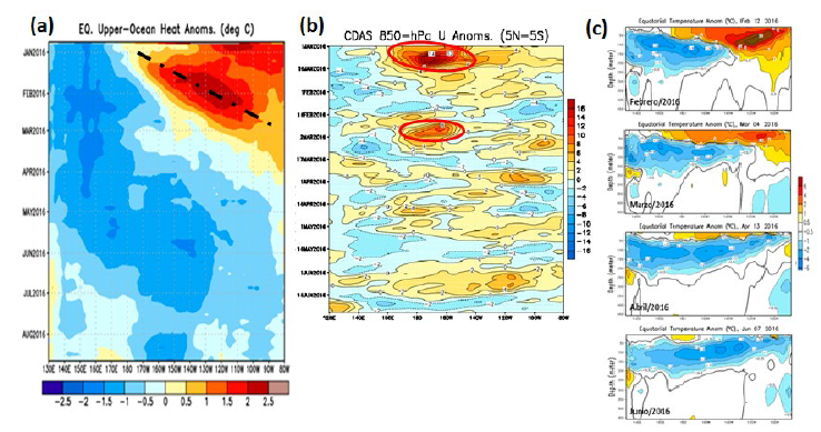 (a) Anomal&iacute;a del contenido de calor (&deg;C) en la capa superior
del oc&eacute;ano Pac&iacute;fico ecuatorial para el per&iacute;odo de enero a agosto de 2016. (b)
Anomal&iacute;a de la componente zonal de los vientos (m/s) en la capa de 850 hPa
sobre el Pac&iacute;fico ecuatorial para el primer semestre de 2016. (c) Anomal&iacute;a de
la temperatura subsuperficial (&deg;C) en el Pac&iacute;fico ecuatorial para febrero,
marzo, abril y junio de 2016.