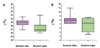 Valores de δ13C y δ15N de los residuos adheridos por sector.