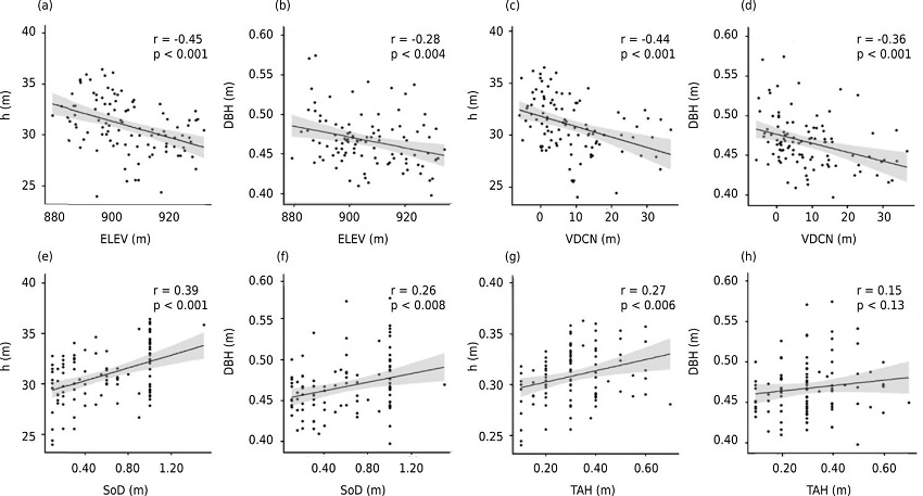 Significant Spearman’s correlation coefficients between dendrometric, topographic, and pedological variables of dataset 2, in which: h = total tree height; DBH = diameter at breast height; SLOPE = slope; ELEV = elevation; VDCN = vertical distance to channel network; SoD = solum depth; TAH = thickness of A horizon.