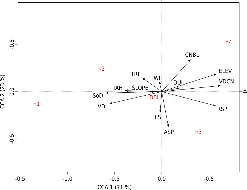 Ordination diagram of canonical correlation analysis (CCA) of axes 1–2 based on principal components of edaphic and dendrometric variables of a Pinus taeda commercial plantation, Campo Belo do Sul, Santa Catarina, in which the pedological variables are: solum depth (SoD) and thickness of A horizon (TAH). Topographic variables are: elevation (ELEV); valley depth (VD); vertical distance to channel network (VDCN); relative slope position (RSP); slope; terrain ruggedness index (TRI); topographic wetness index (TWI); channel network base level (CNBL); duration of insolation (DUI); LS factor (LS). Dendrometric variables are: diameter at breast height (DBH); total tree height (h); high level 1 (h1); high level 2 (h2); high level 3 (h3); high level 4 (h4).