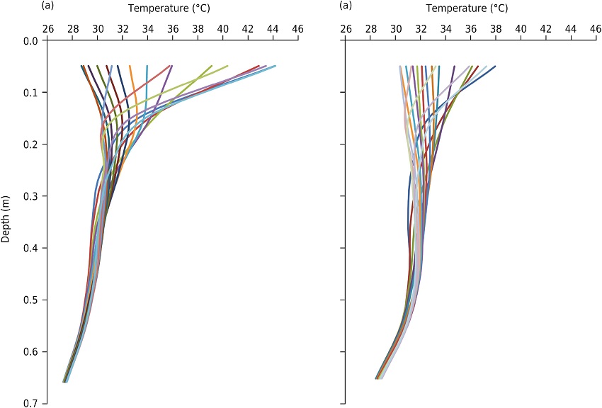 The geothermal profile of the soil where each line corresponds to a certain time of day. The maximum recorded depth is 0.65 m and the recorded dates are (a) April 16, 2013 and (b) August 9, 2013.
