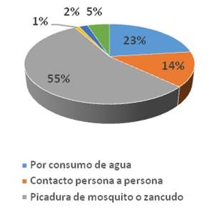 Respuestas de transmisión de dengue