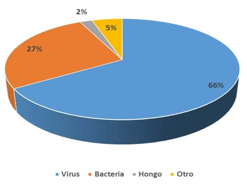Respuestas de agente del dengue