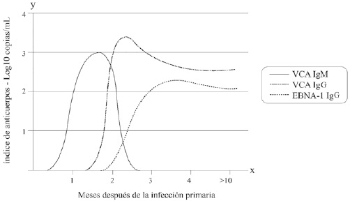 Evolución característica de la respuesta humoral tras primoinfección por VEB