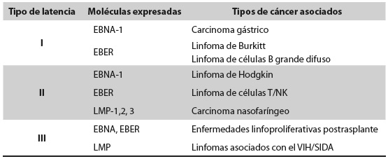 Tipos de latencia, moléculas del VEB y malignidades asociadas