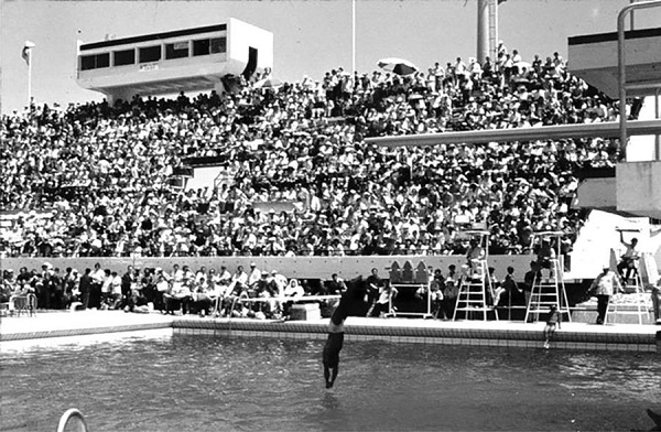 : Campeonato Panamericano de Natación, Polo Acuático y Saltos Ornamentales, 1972. (
							2)
						