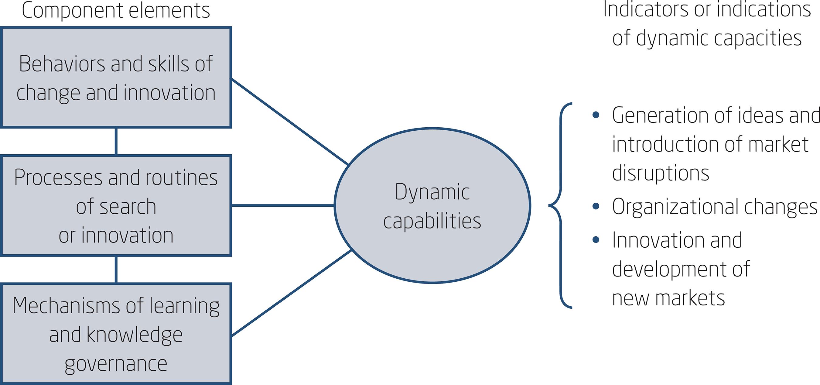 CONCEPTUAL AND OPERATIONAL APPROACH OF DYNAMIC CAPABILITIES