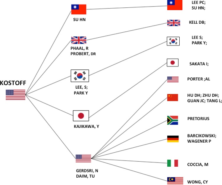 KOSTOFF’S CO-CITATION NETWORK AND CORRELATED COUNTRIES