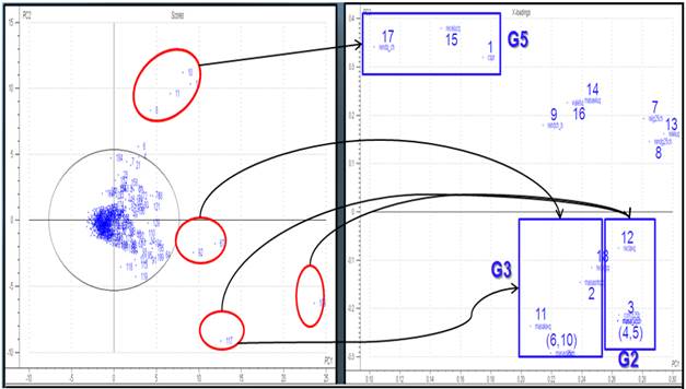 Gráficos de las puntuaciones y de los pesos con las relaciones entre las muestras y las variables.