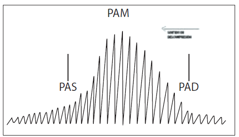Oscilaciones del método oscilométrico