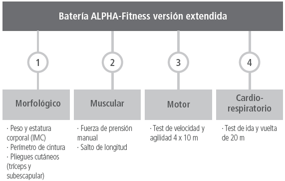 Batería ALPHA-Fitness versión extendida.9
