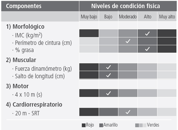 Ejemplo de un informe de condición física en el
que los resultados alcanzados se presentan gráficamente
