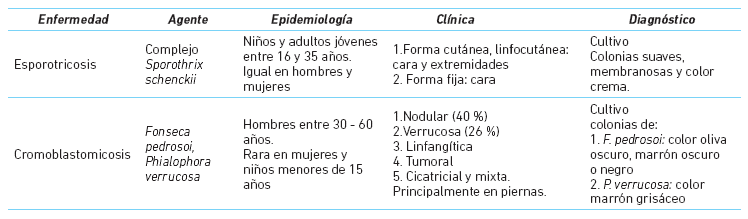 Principales características de esporotricosis y cromoblastomicosis