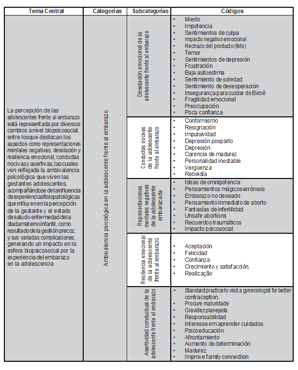 Matriz de categorización
