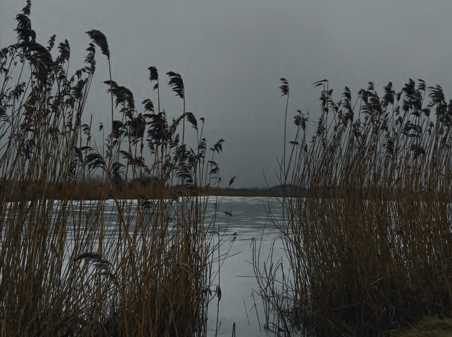 El genio secreto del catalejo