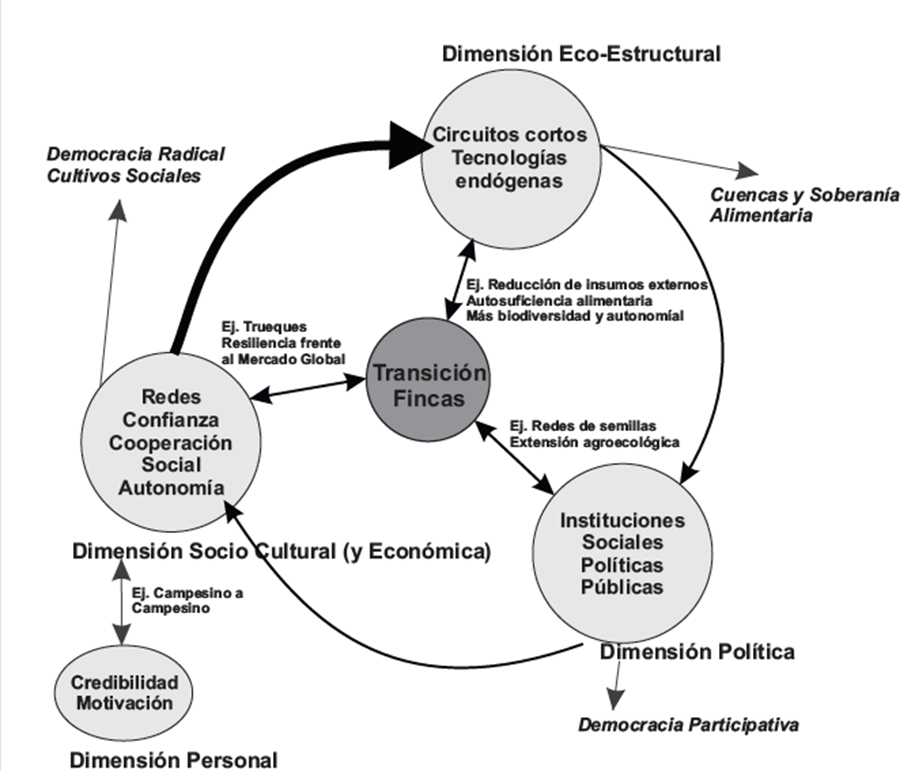 Modelo de transicin social agroecolgica.