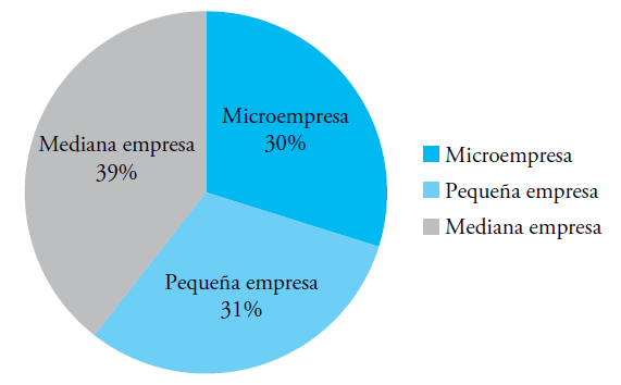 Gráfico 1. Representación porcentual de lasempresas según su tamaño (Guayas)