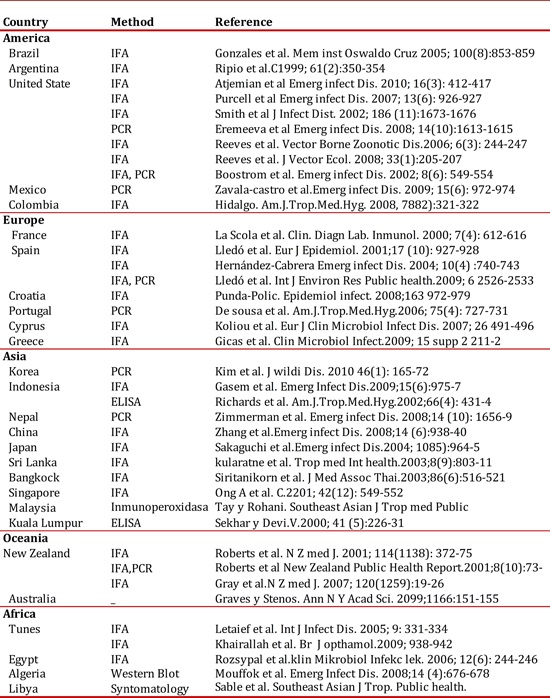 Rickettsia typhi reports in the XXI century
