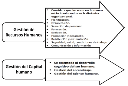 Características
de la gestión de los recursos humanos y el capital humano