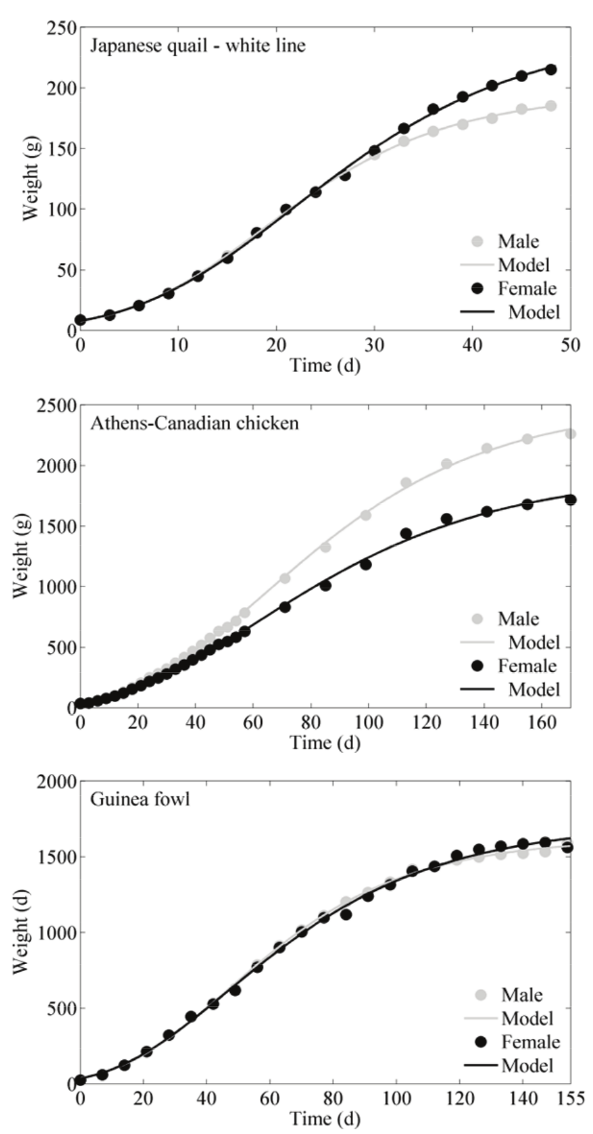 Birds growth kinetics fitted to the Richards’ model.