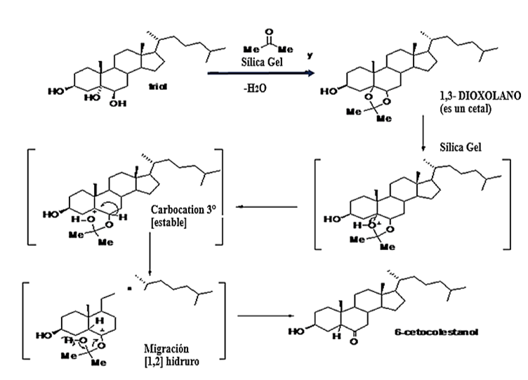 Figura 2. Mecanismos
de reacci&oacute;n de transformaci&oacute;n de triol en 6-ceto. Tomado de [40].
