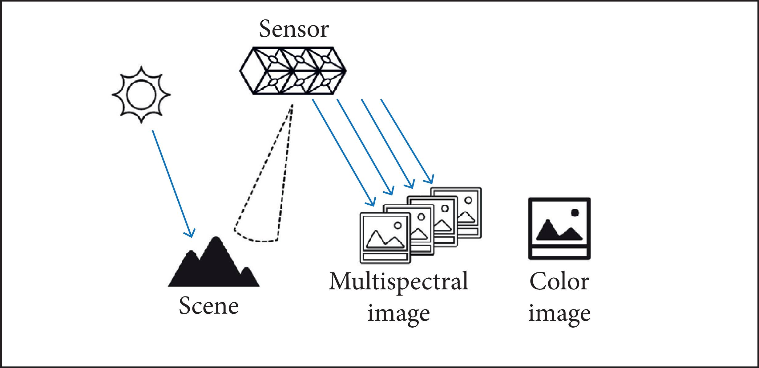 Quality Evaluation of Chromatic Interpolation Algorithms for Image ...