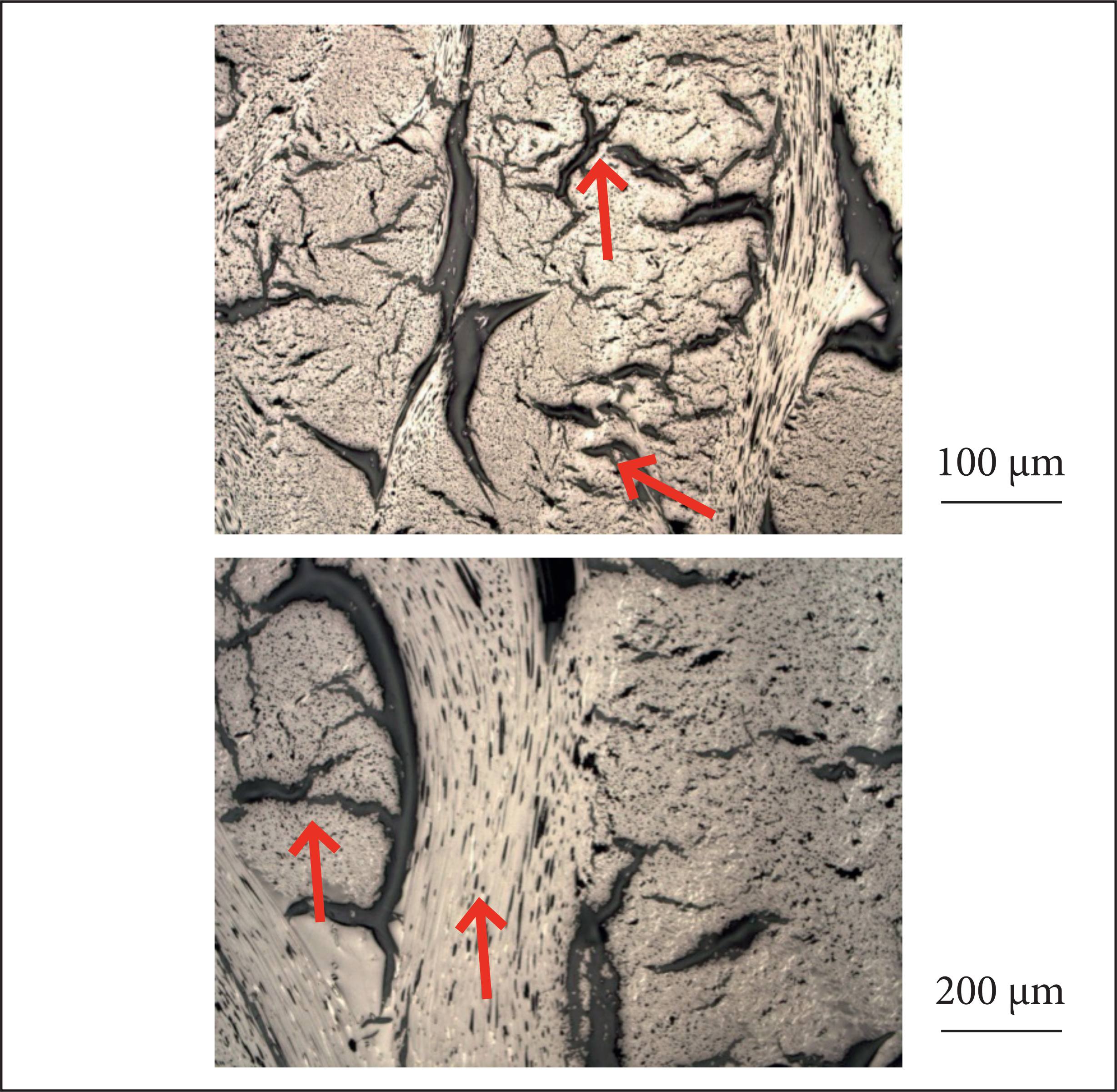 Shear Properties of Carbon Fiber/Phenolic Resin Composites Heat Treated