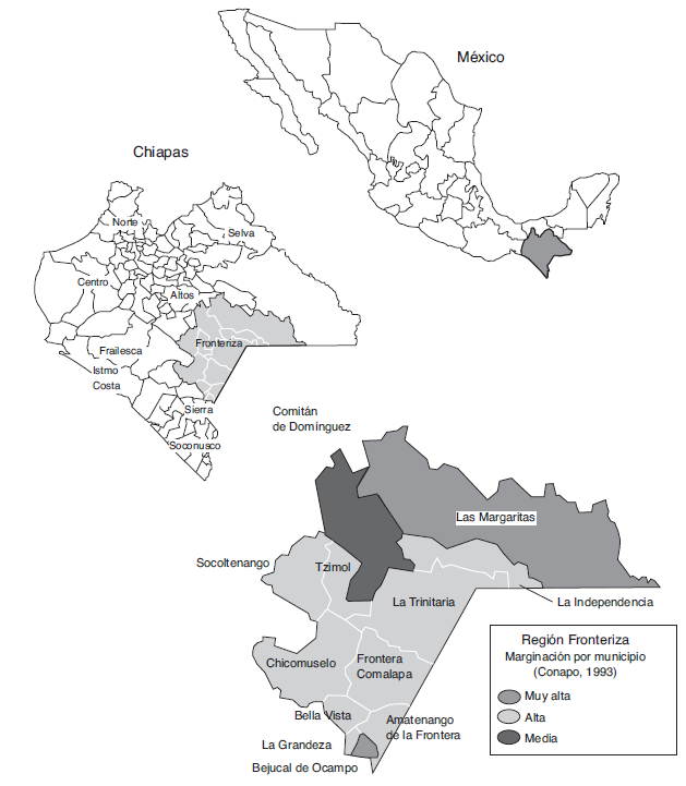Municipios de la regi&oacute;n fronteriza de Chiapas, M&eacute;xico, 1993