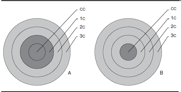 Patrones intrametropolitanos del crecimiento social*