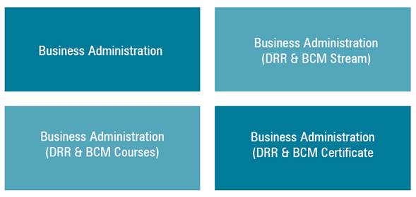 Disaster risk and business continuity management education in business administration.