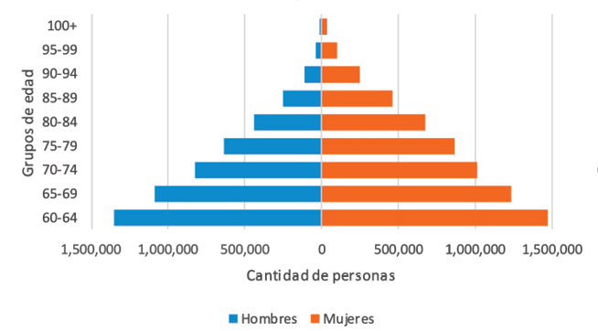 Estructura de la poblaci&oacute;n de personas mayores por edad y sexo. Argentina, 2040