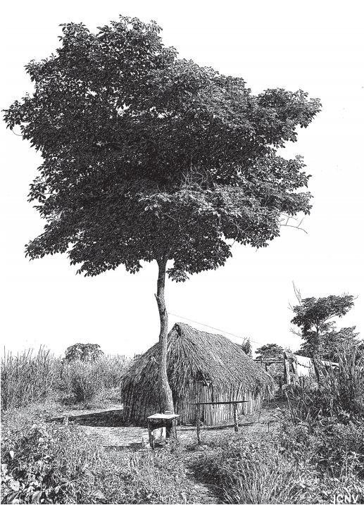El paisaje arquitectónico actual. Una solitaria casa en el resguardo de Ette
Butteriya.