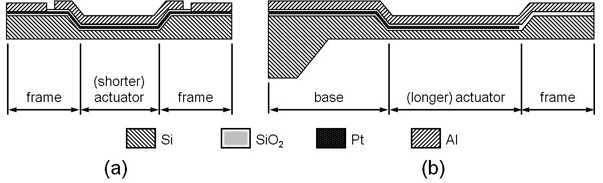 Cross section of actuators: a) shorter, b) longer.