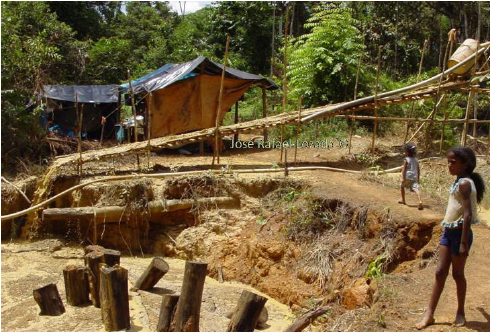 El rancho, el tame y los niños en un
sector de Las Claritas