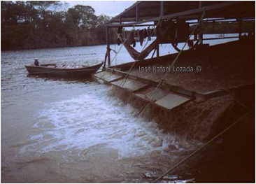 Minería en balsa