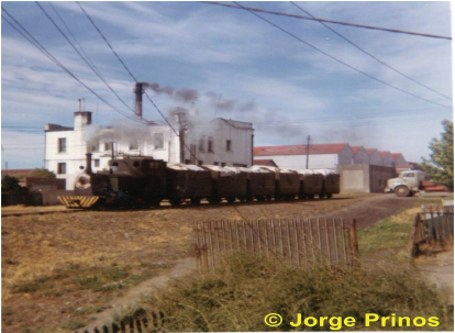 Tomada en 1960 donde se observa la instalación de la grasería La
Blanca, que fue la base de la compañía Swift de la Plata