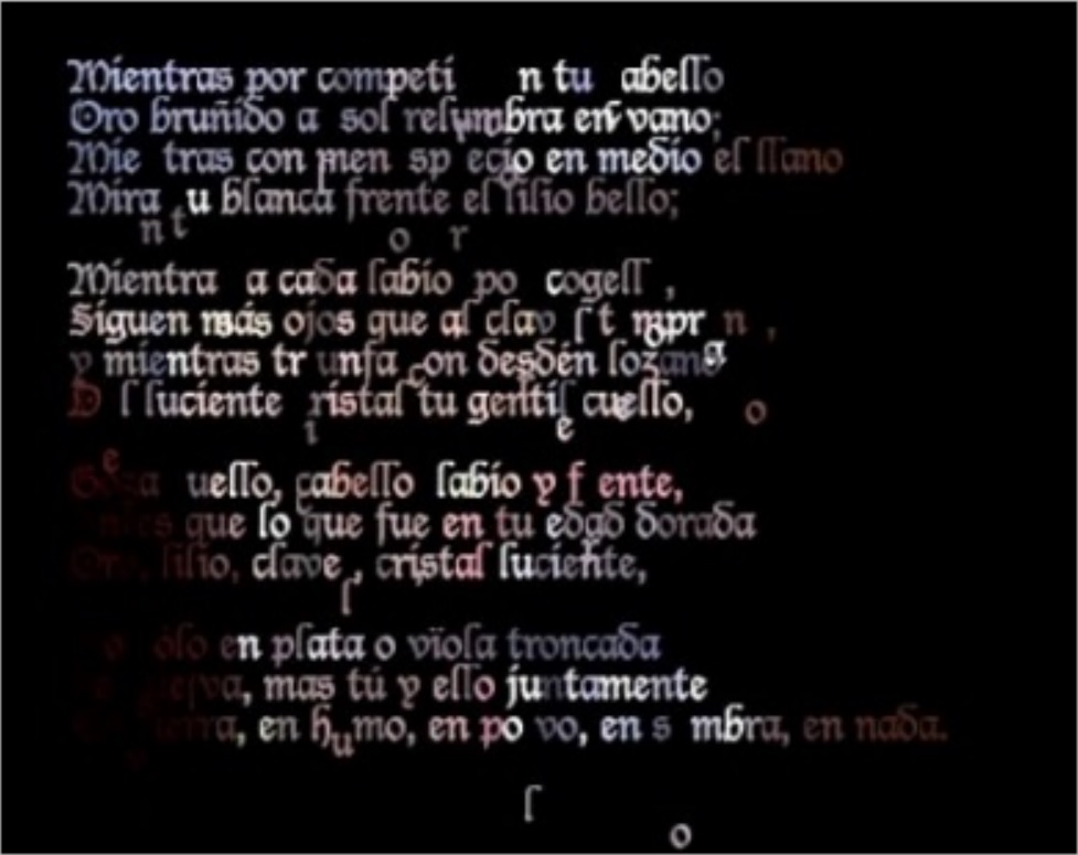 María  Mencía, Transient  Self-Portrait, 2012. Poema conceptual