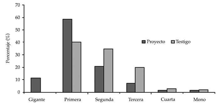 Distribuci&oacute;n de la
calidad de la cosecha en parcela Cevaf comparada con
un testigo (lote 9 de Diciembre)