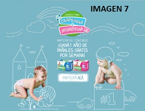 Pa&ntilde;ales con elementos que acent&uacute;an rol femenino (2013)