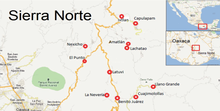 Ubicación de la zona de estudio (Google-INEGI, 2012).